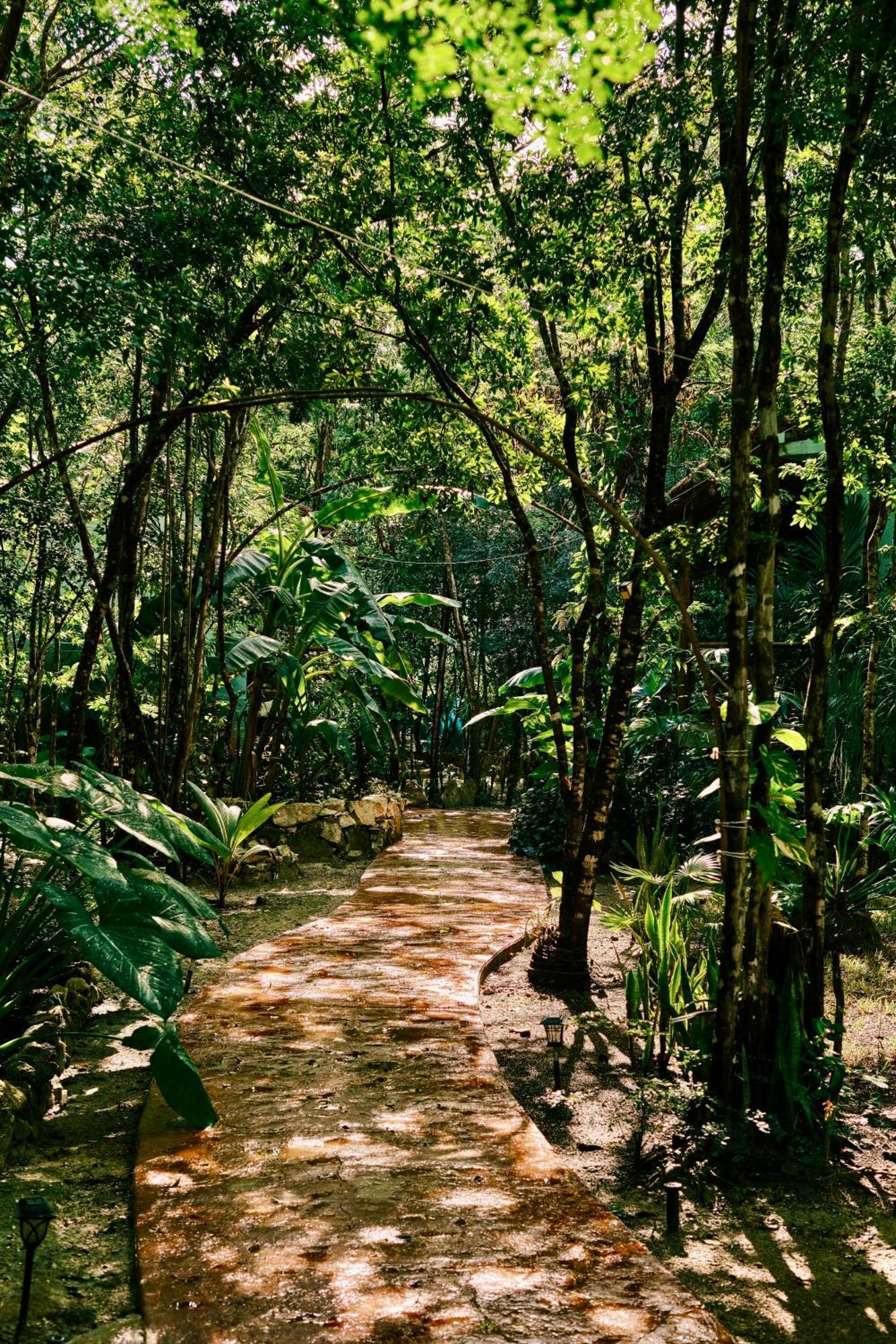 Villas Zamna - Jungle Villas โกซูเมล ภายนอก รูปภาพ