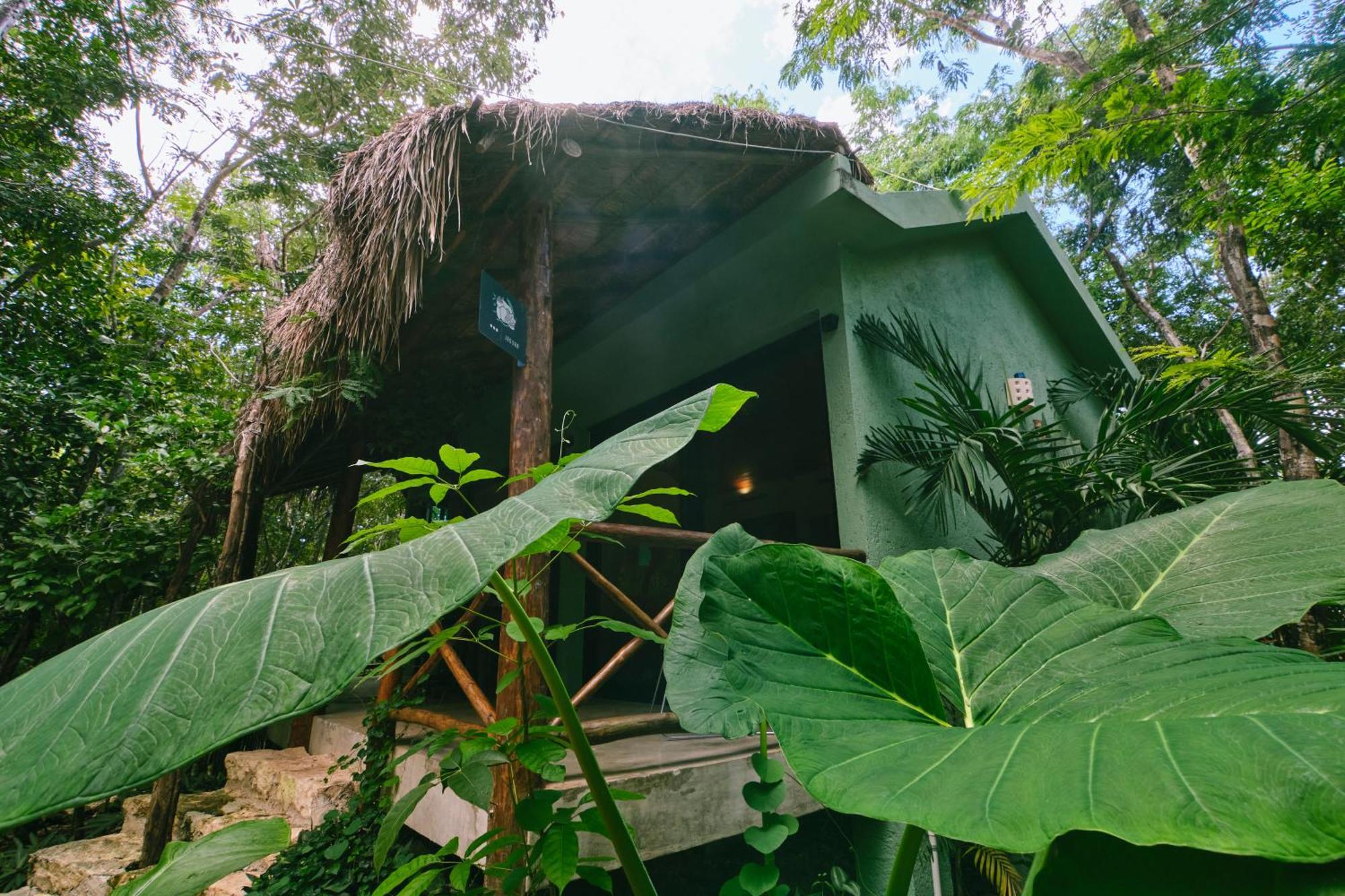 Villas Zamna - Jungle Villas โกซูเมล ภายนอก รูปภาพ