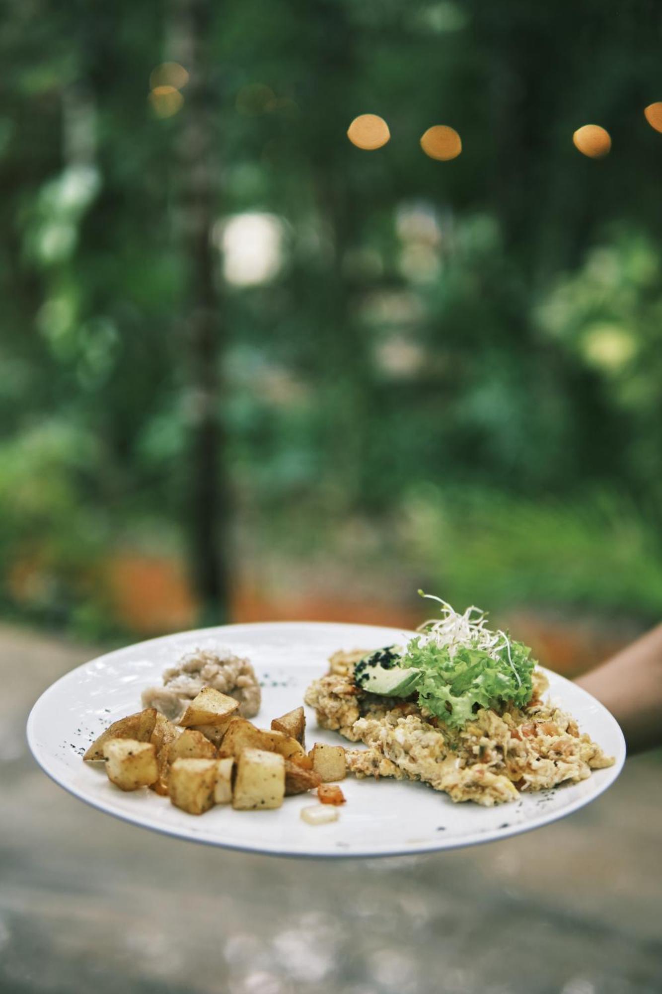 Villas Zamna - Jungle Villas โกซูเมล ภายนอก รูปภาพ