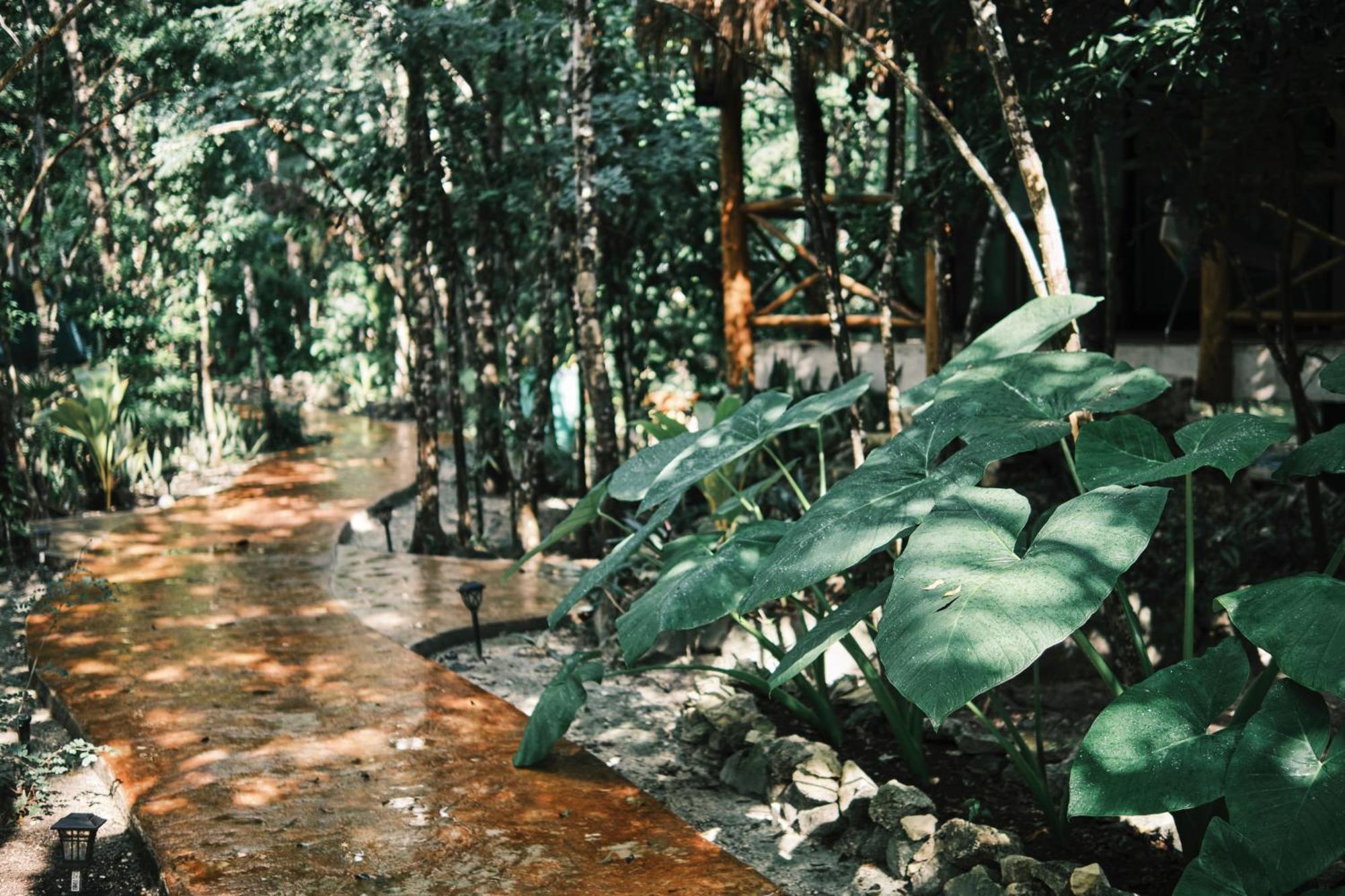 Villas Zamna - Jungle Villas โกซูเมล ภายนอก รูปภาพ