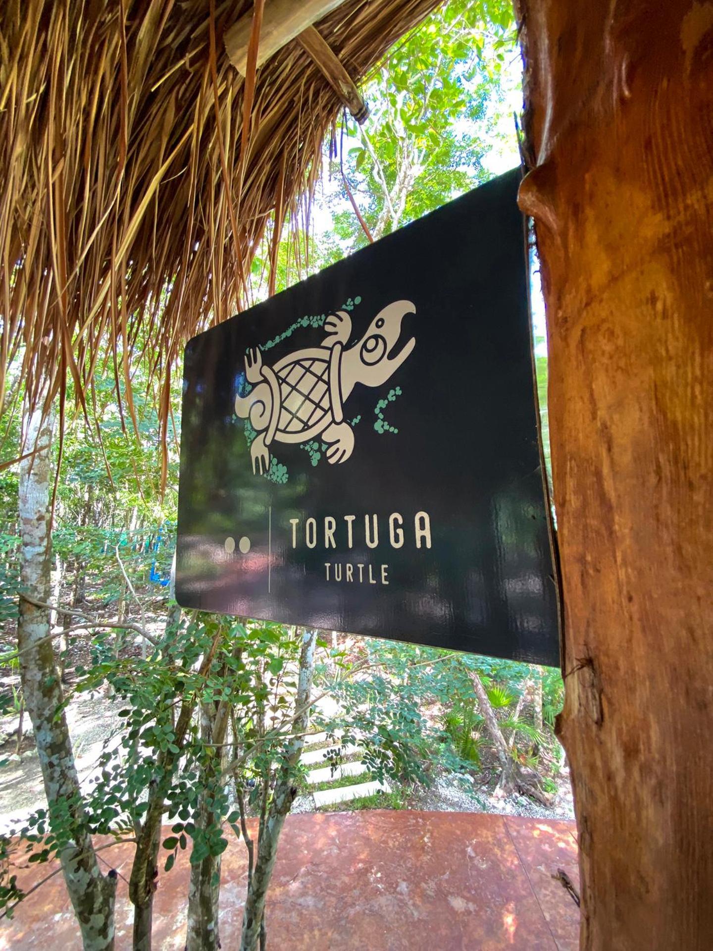 Villas Zamna - Jungle Villas โกซูเมล ภายนอก รูปภาพ
