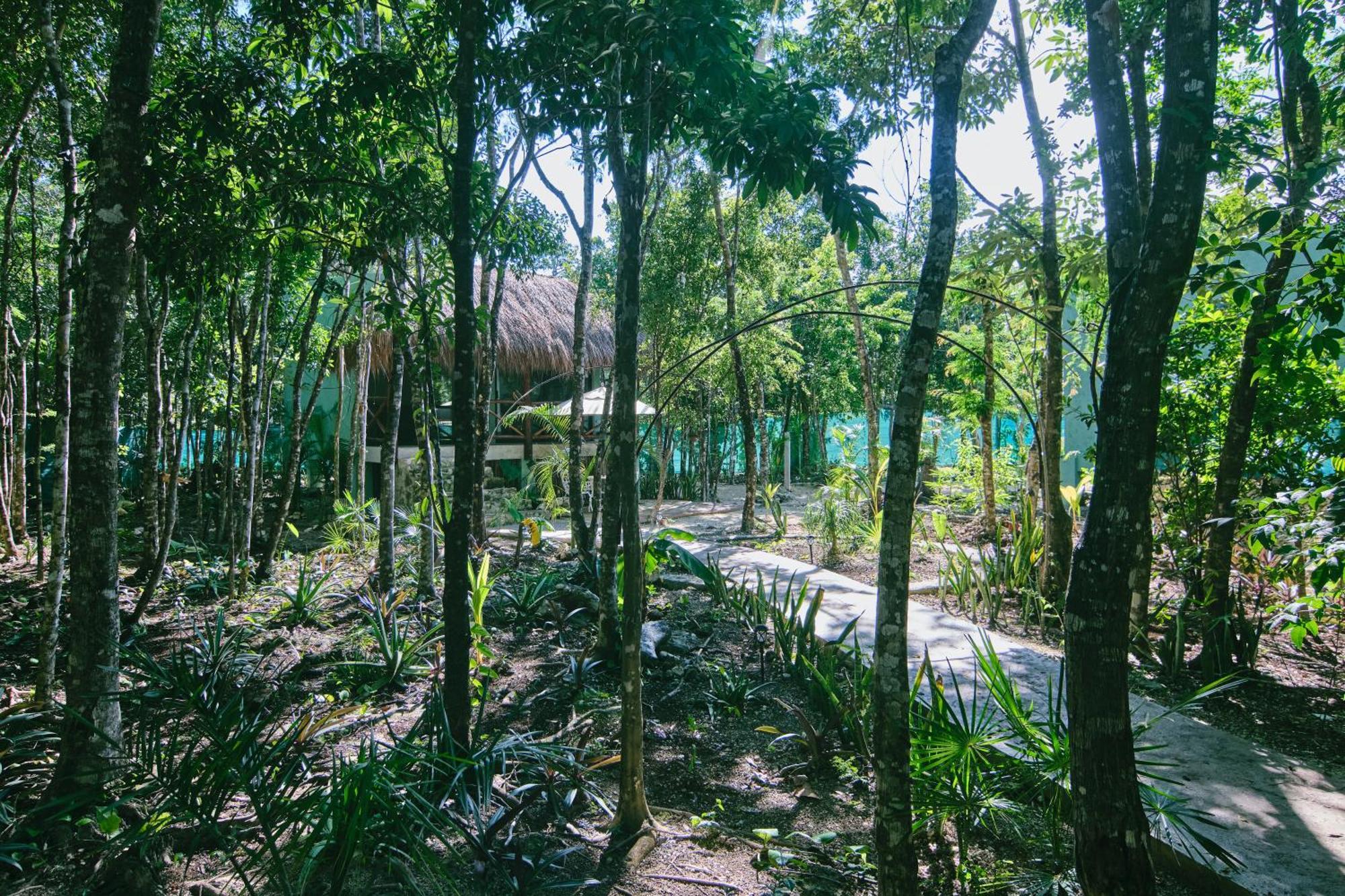 Villas Zamna - Jungle Villas โกซูเมล ภายนอก รูปภาพ