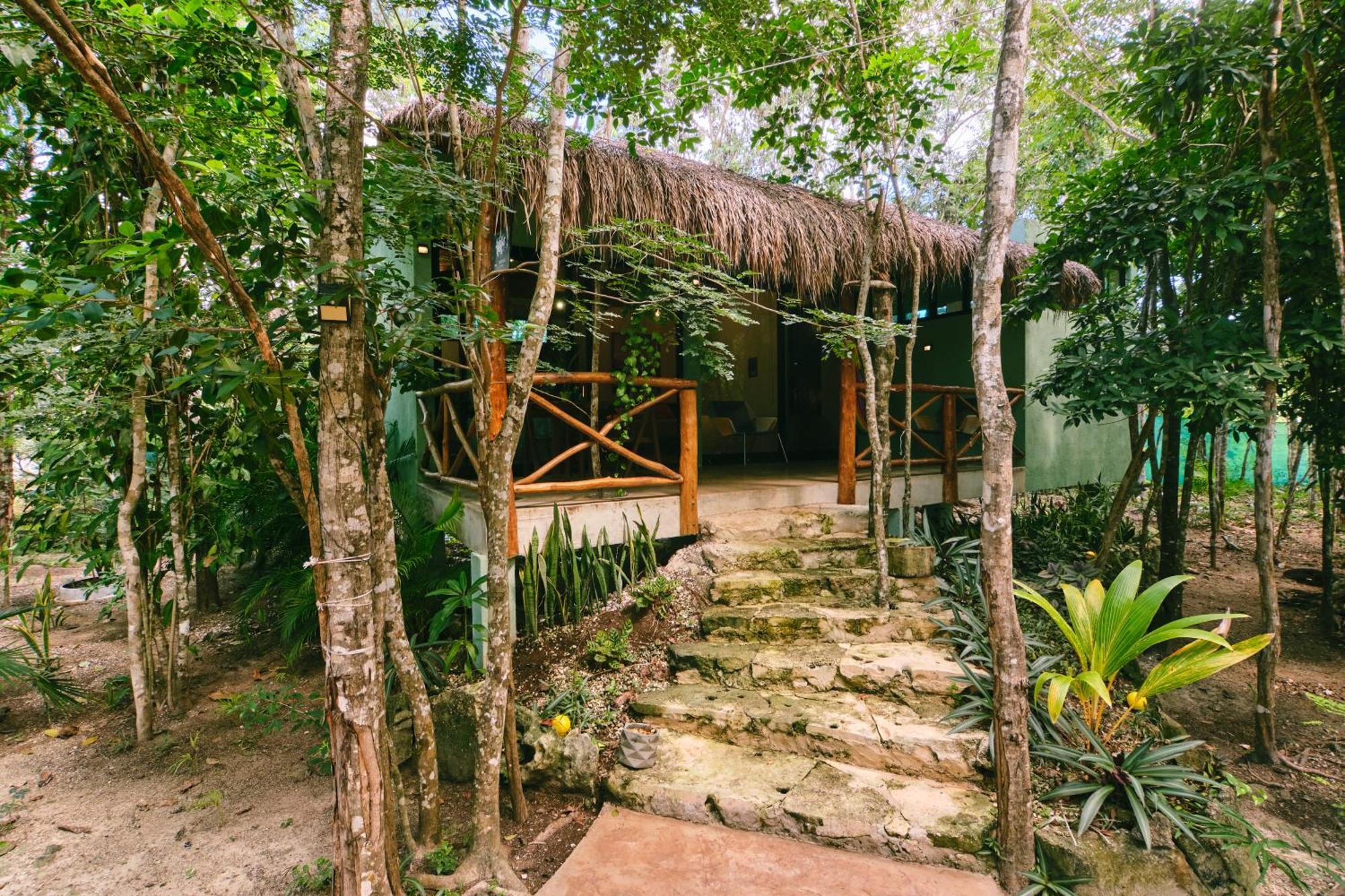 Villas Zamna - Jungle Villas โกซูเมล ภายนอก รูปภาพ
