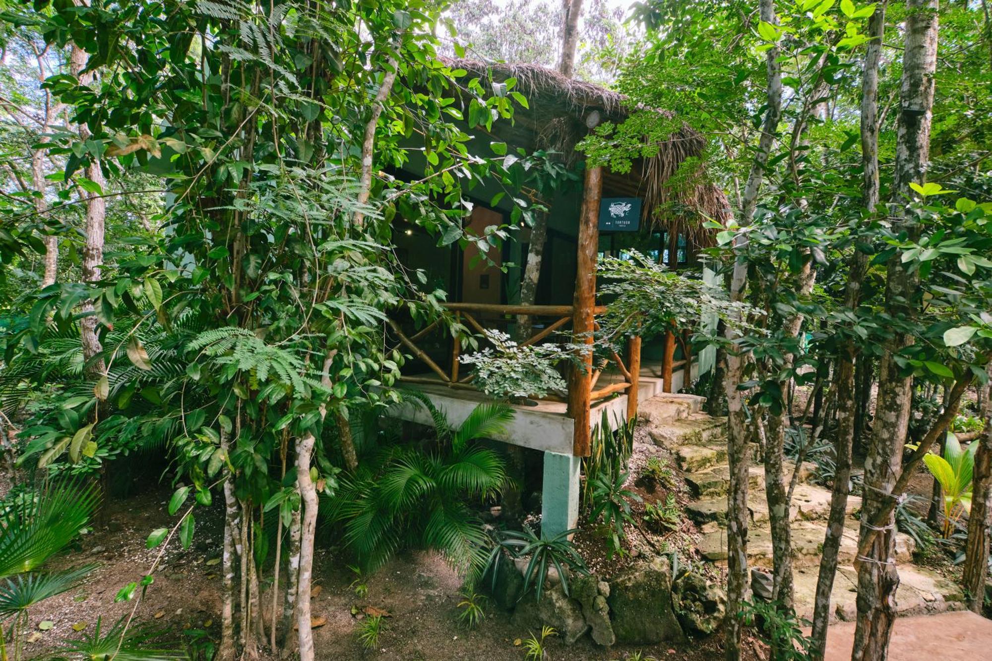 Villas Zamna - Jungle Villas โกซูเมล ภายนอก รูปภาพ