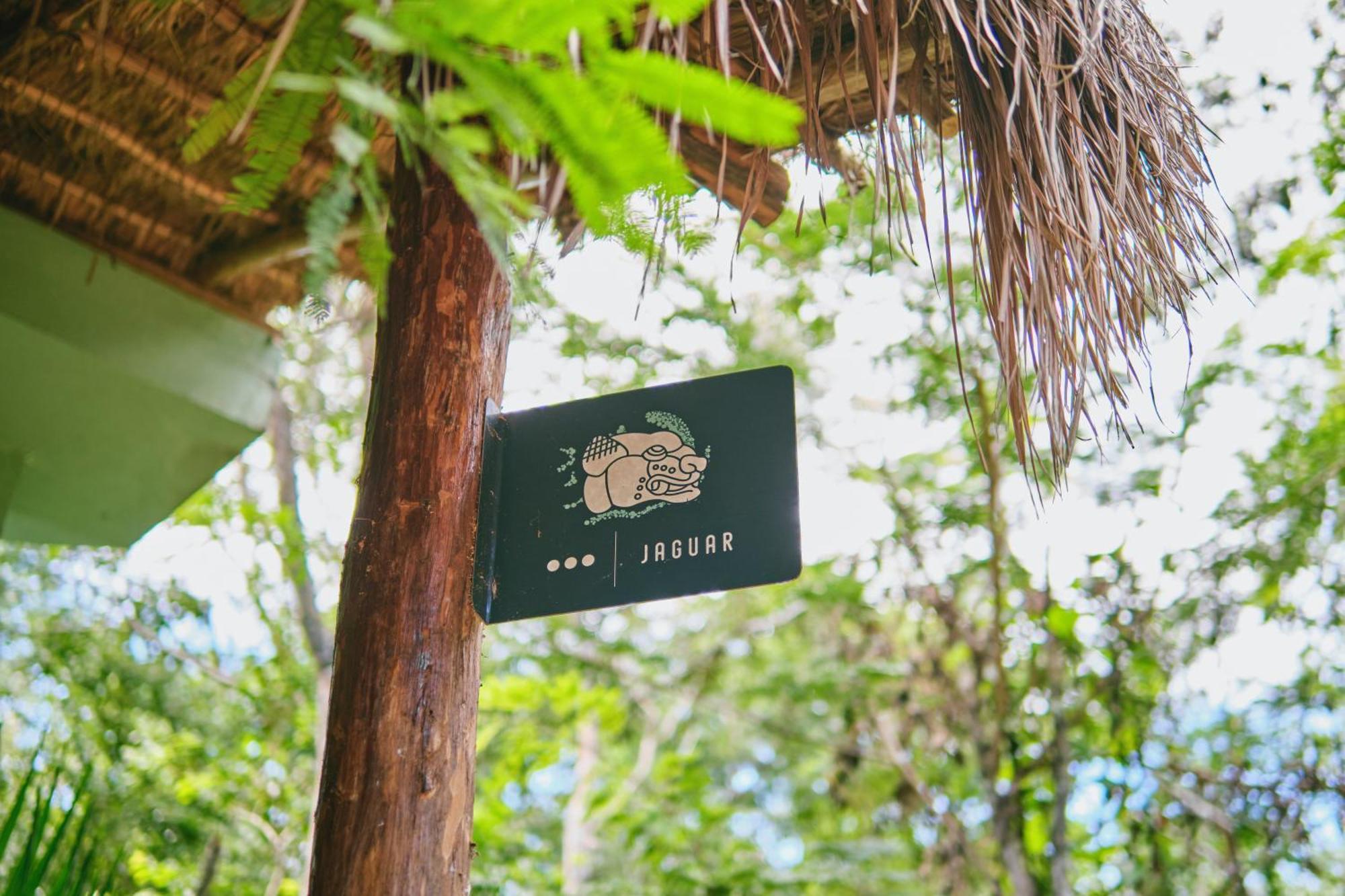 Villas Zamna - Jungle Villas โกซูเมล ภายนอก รูปภาพ