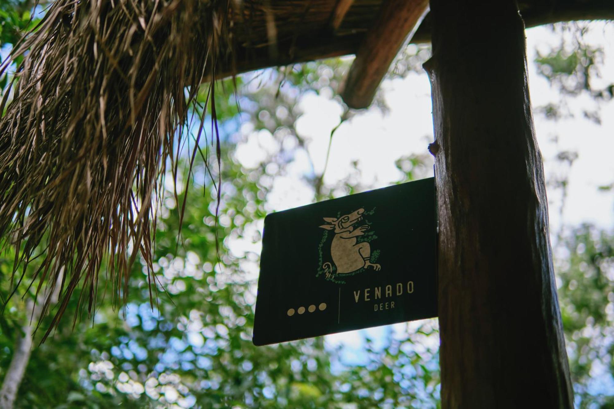 Villas Zamna - Jungle Villas โกซูเมล ภายนอก รูปภาพ